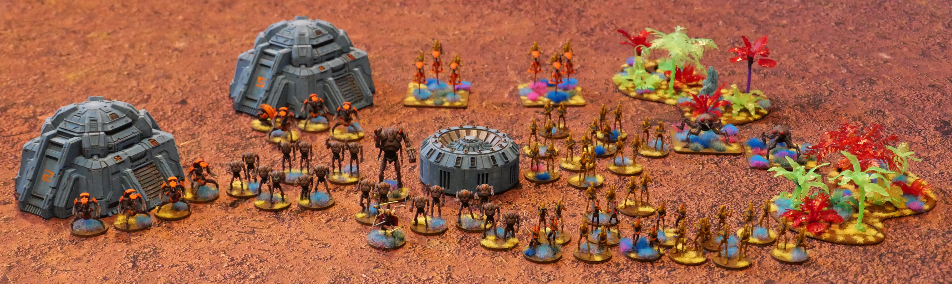 CDA17-64.jpg